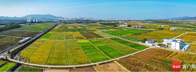 三亚崖州区南繁基地。资料图