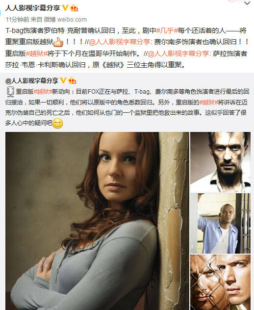 珀塞尔(dominic purcell,sara的扮演者莎拉-韦恩-卡里斯(sarah